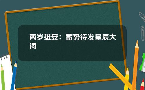 两岁雄安：蓄势待发星辰大海