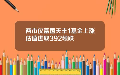 两市仅富国天丰1基金上涨估值进取392领跌