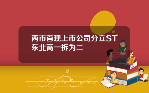 两市首现上市公司分立ST东北高一拆为二