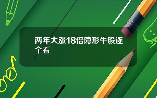 两年大涨18倍隐形牛股逐个看