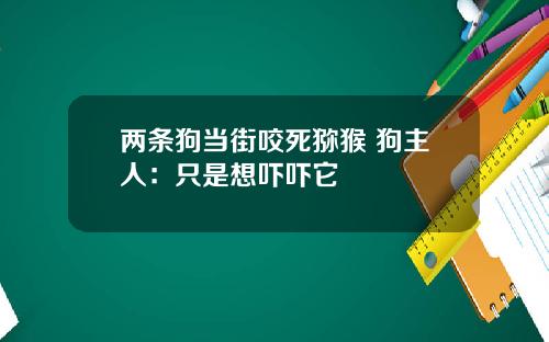 兩條狗儅街咬死獼猴 狗主人：衹是想嚇嚇它