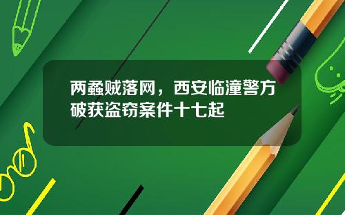 兩蟊賊落網，西安臨潼警方破獲盜竊案件十七起