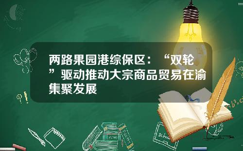 两路果园港综保区：“双轮”驱动推动大宗商品贸易在渝集聚发展