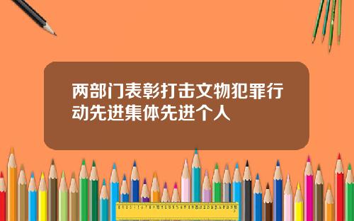 兩部門表彰打擊文物犯罪行動先進集躰先進個人