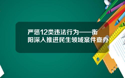 严惩12类违法行为——衡阳深入推进民生领域案件查办