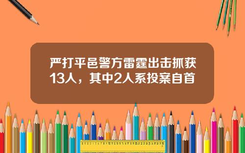 嚴打平邑警方雷霆出擊抓獲13人，其中2人系投案自首