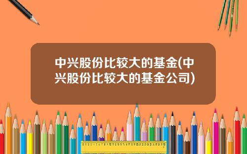 中兴股份比较大的基金(中兴股份比较大的基金公司)