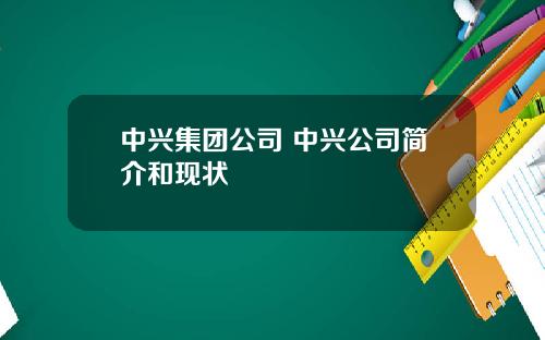 中興集團公司 中興公司簡介和現狀