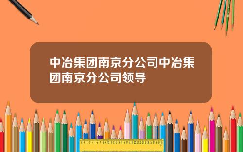 中冶集團南京分公司中冶集團南京分公司領導