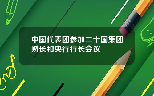 中国代表团参加二十国集团财长和央行行长会议