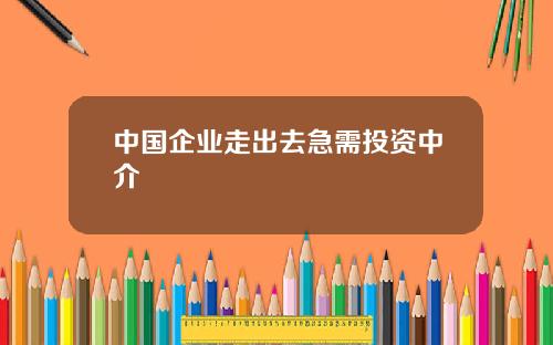 中国企业走出去急需投资中介