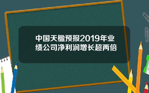 中國天楹預報2019年業勣公司淨利潤增長超兩倍