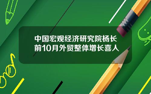 中国宏观经济研究院杨长湧前10月外贸整体增长喜人