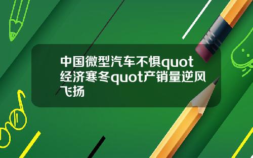 中国微型汽车不惧quot经济寒冬quot产销量逆风飞扬