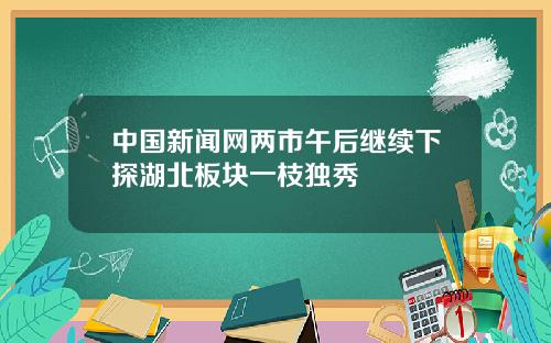 中国新闻网两市午后继续下探湖北板块一枝独秀