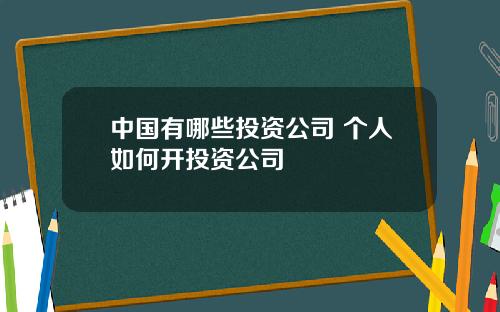 中國有哪些投資公司 個人如何開投資公司