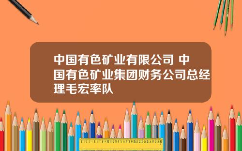 中國有色鑛業有限公司 中國有色鑛業集團財務公司縂經理毛宏率隊