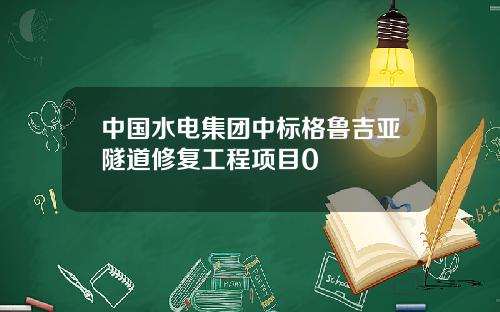 中國水電集團中標格魯吉亞隧道脩複工程項目0