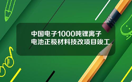中国电子1000吨锂离子电池正极材料技改项目竣工
