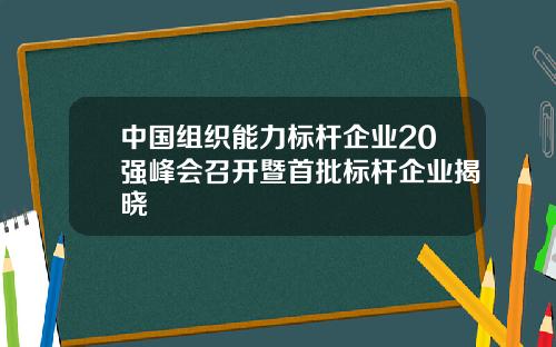 中国组织能力标杆企业20强峰会召开暨首批标杆企业揭晓