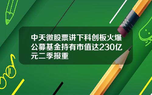 中天微股票讲下科创板火爆公募基金持有市值达230亿元二季报重