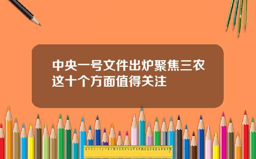 中央一号文件出炉聚焦三农这十个方面值得关注