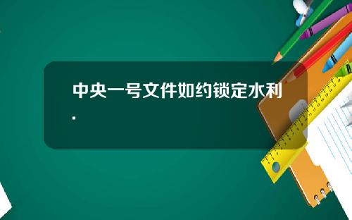 中央一号文件如约锁定水利.