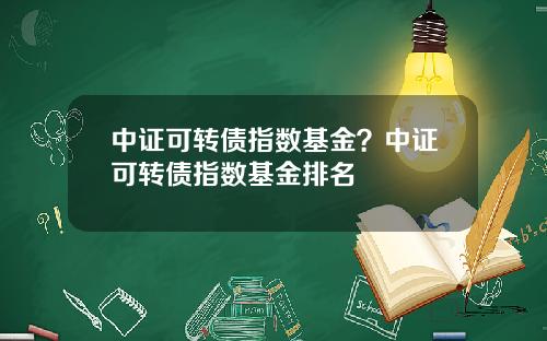 中证可转债指数基金？中证可转债指数基金排名