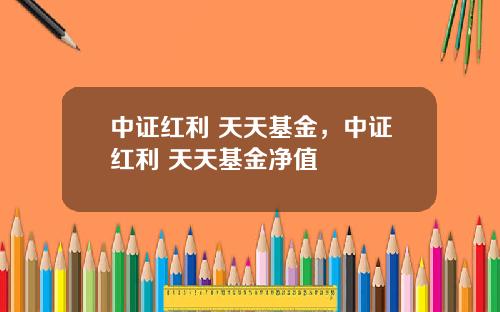 中証紅利 天天基金，中証紅利 天天基金淨值