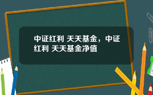 中証紅利 天天基金，中証紅利 天天基金淨值