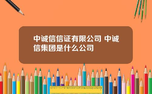 中诚信信证有限公司 中诚信集团是什么公司