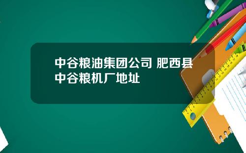中谷粮油集团公司 肥西县中谷粮机厂地址