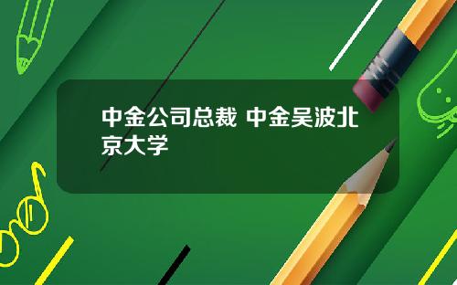 中金公司总裁 中金吴波北京大学