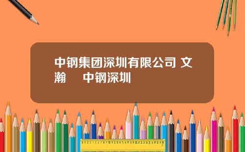 中鋼集團深圳有限公司 文瀚旻 中鋼深圳