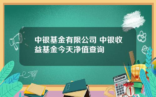 中銀基金有限公司 中銀收益基金今天淨值查詢