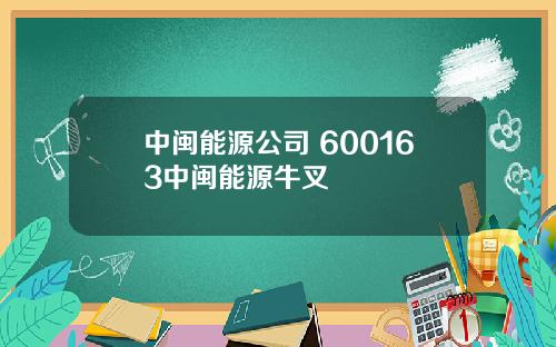 中閩能源公司 600163中閩能源牛叉