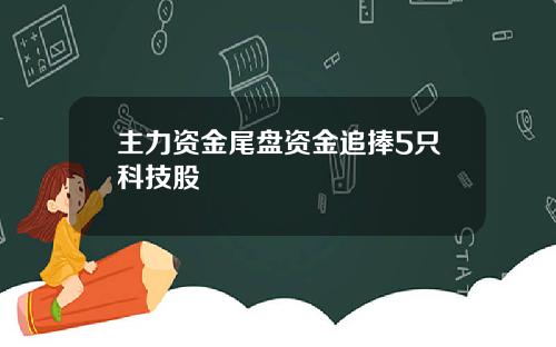主力资金尾盘资金追捧5只科技股