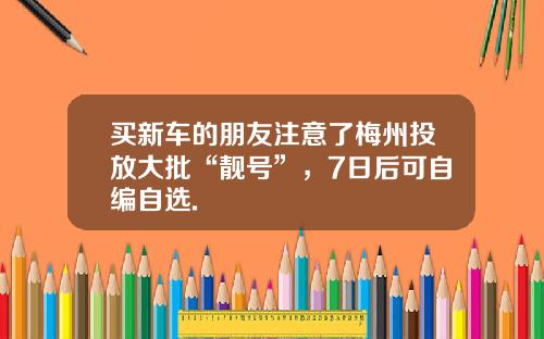 買新車的朋友注意了梅州投放大批“靚號”，7日後可自編自選.