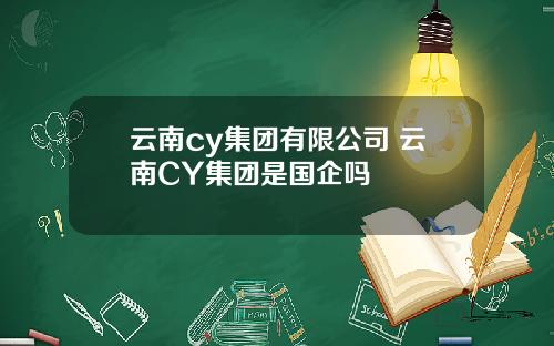 雲南cy集團有限公司 雲南CY集團是國企嗎