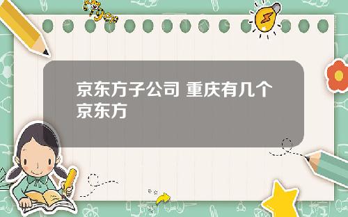 京東方子公司 重慶有幾個京東方