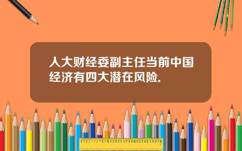 人大财经委副主任当前中国经济有四大潜在风险.