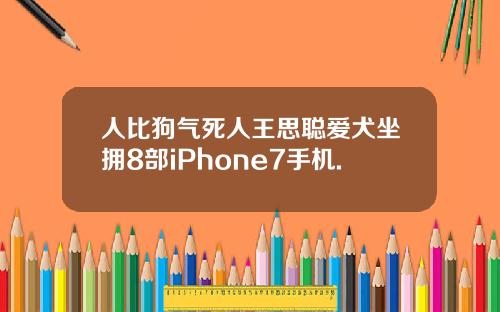 人比狗气死人王思聪爱犬坐拥8部iPhone7手机.