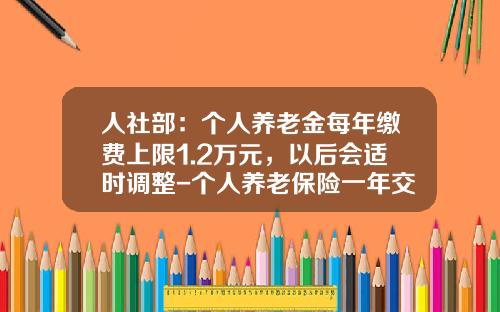 人社部：個人養老金每年繳費上限1.2萬元，以後會適時調整-個人養老保險一年交多少錢