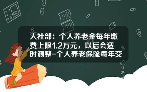人社部：個人養老金每年繳費上限1.2萬元，以後會適時調整-個人養老保險每年交多少
