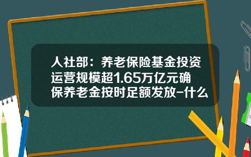 人社部：養老保險基金投資運營槼模超1.65萬億元確保養老金按時足額發放-什麽是社會保險基金投資