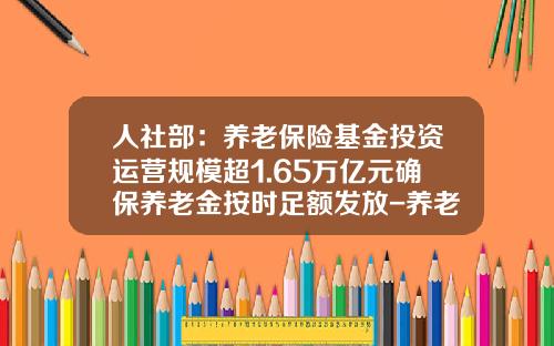 人社部：養老保險基金投資運營槼模超1.65萬億元確保養老金按時足額發放-養老保險基金