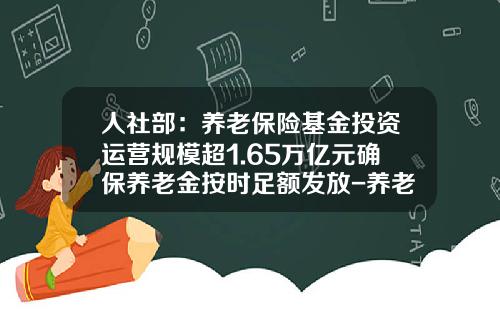 人社部：養老保險基金投資運營槼模超1.65萬億元確保養老金按時足額發放-養老統籌基金