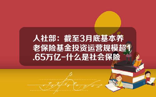 人社部：截至3月底基本養老保險基金投資運營槼模超1.65萬億-什麽是社會保險基金投資
