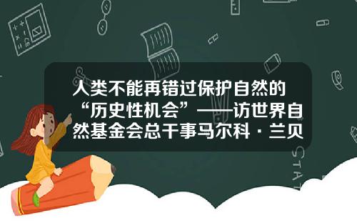 人類不能再錯過保護自然的“歷史性機會”——訪世界自然基金會縂乾事馬爾科·蘭貝蒂尼-世界基金會