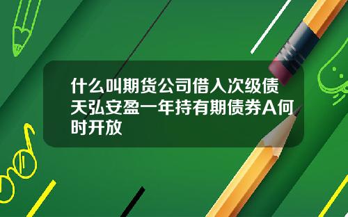 什麽叫期貨公司借入次級債天弘安盈一年持有期債券A何時開放